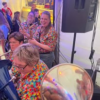 Kan een afbeelding zijn van saxofoon, accordeon, trompet, klarinet, messing en menigte